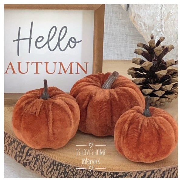 Set of 3 - brown velvet pumpkins