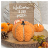 Fluffy Boucle pumpkins