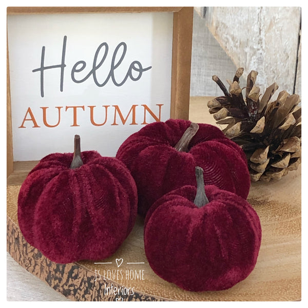 Dark red velvet pumpkins - set of 3
