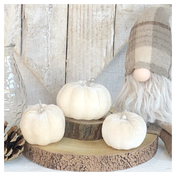 Set of 3 white velvet pumpkins - sliver stem