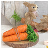 Decorative Carrot bundle