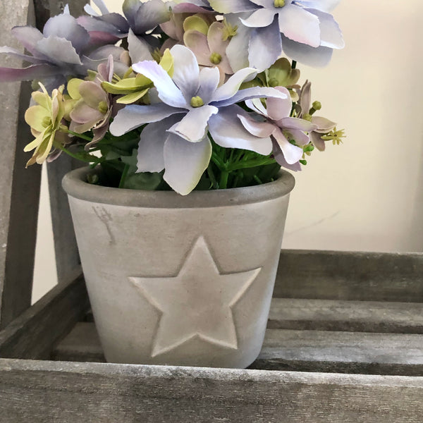 Grey concrete star pot