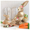Decorative Carrot bundle
